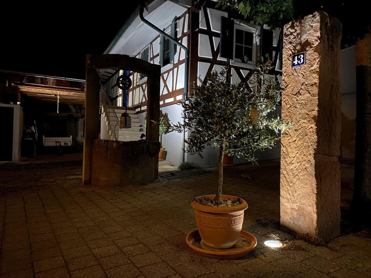 Traumhaft Wohnen Im Haus Blum Apartment Herbolzheim Exterior photo